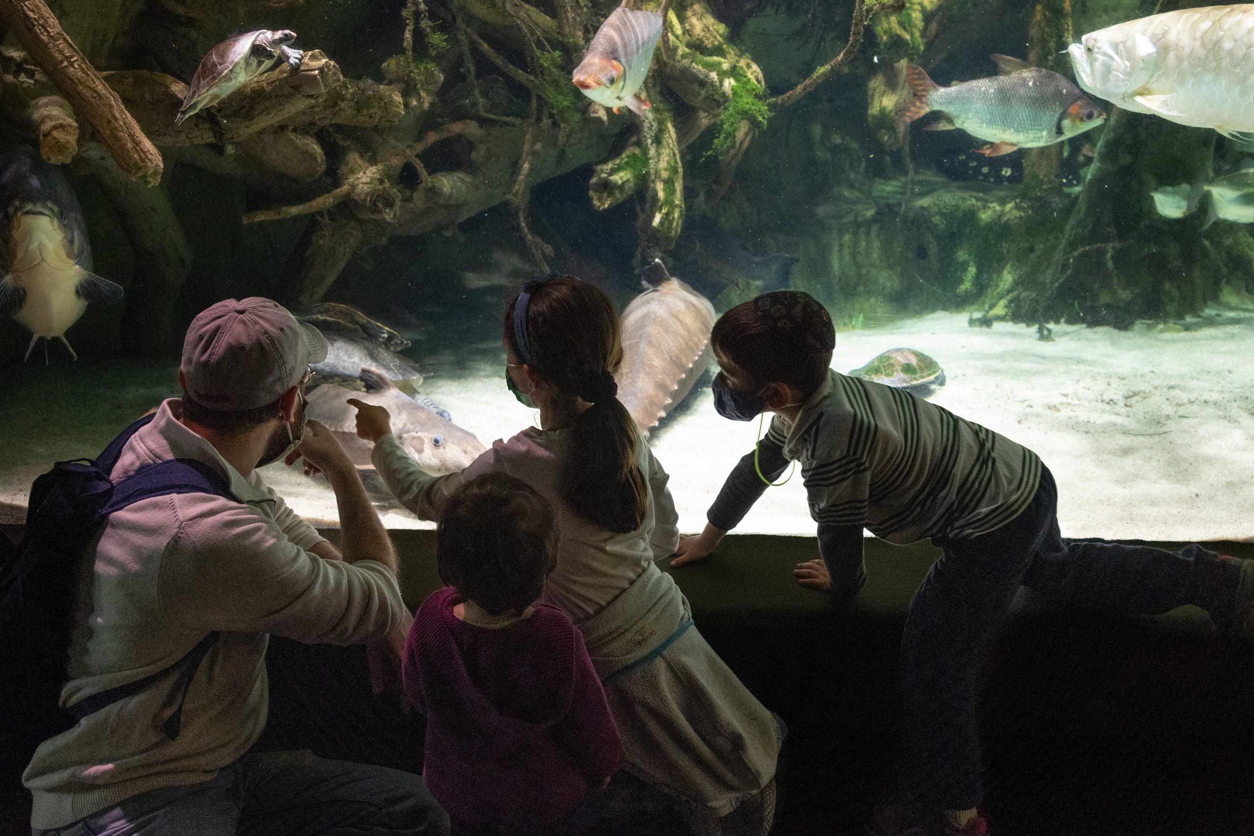 Member Evening | Guest Experience | December 21, 2021