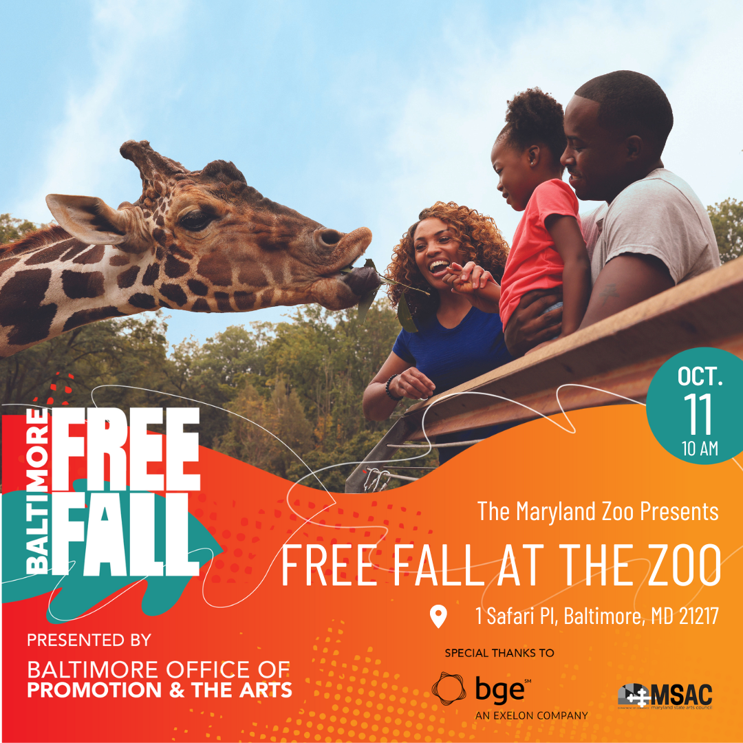 Free Fall At The Zoo Free Fall Baltimore